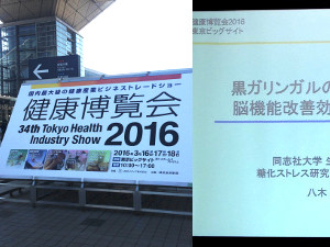 日本食品機能研究会 Jafra 黒ガリンガルの抗糖化作用と脳機能改善効果への可能性